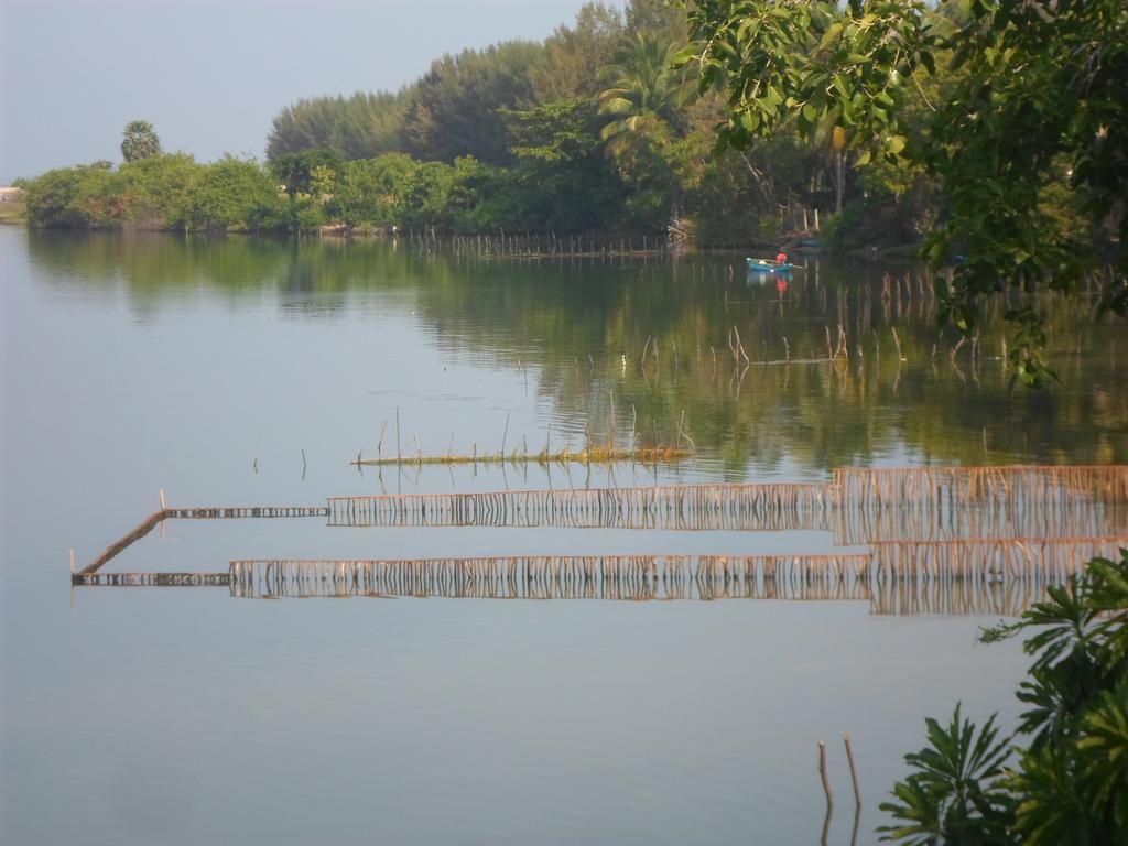 Lord Of The Forest Hotel Batticaloa Camera foto